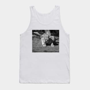 Lioness Tank Top